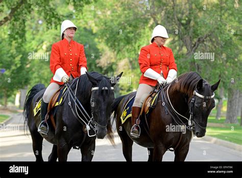 Mounties En Uniforme Tradicional A Caballo En El Royal Canadian Mounted