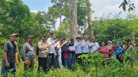 PERJUANGAN TIM BSIP BENGKULU MENGIDENTIFIKASI DURIAN UNGGUL DAGING BUAH