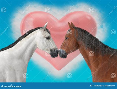 Two Romantic Horses With Heart Part Illustration Stock Image Image