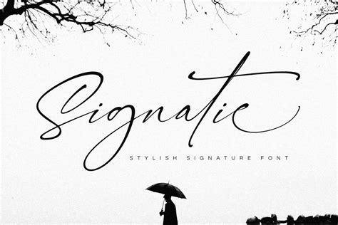 Signatie | Stylish Signature Font on Yellow Images Creative Store