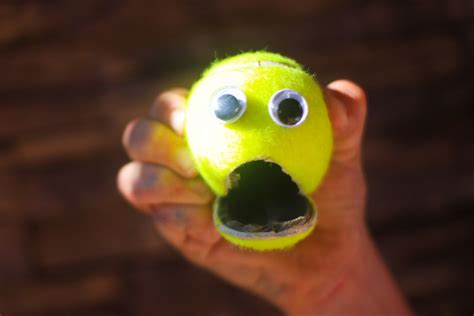 Tennis Ball Mouth Kindertown