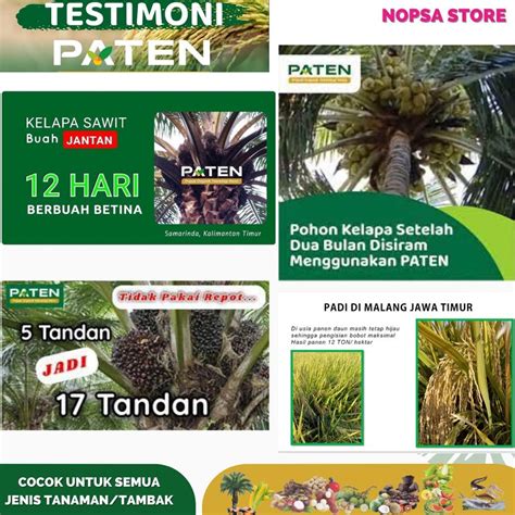 Jual Bayar Ditempat Pupuk Organik Teknologi Nano Box Sachet