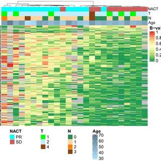 The Heat Map Of Methylation Levels B Values Of CpG Dinucleotides In