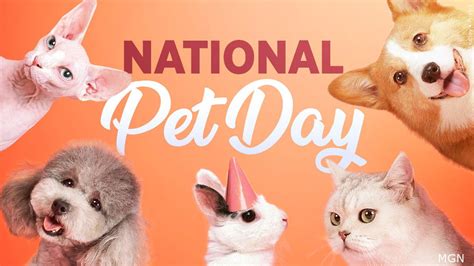 Happy National Love Your Pet Day Olympics Davita Anastassia