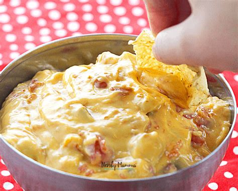 2 Ingredient Rotel Dip Recipe - Make Mexican Queso Fast - Nerdy Mamma