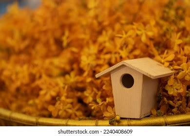 Birdhouse Flowers Over 6 830 Royalty Free Licensable Stock Photos