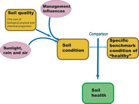 What Is Soil Health Vro Agriculture Victoria