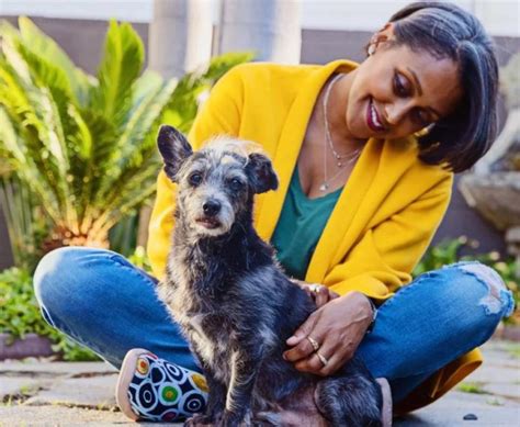 City Of Mesquite Animal Shelter Best Friends Animal Society Save