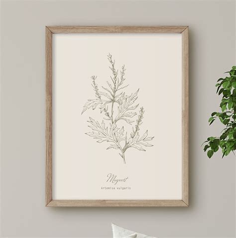 Mugwort Botanical Line Print Hackneyandco