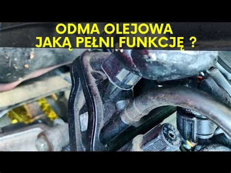 Odma Olejowa Jak Pe Ni Funkcj Oraz Jak Czy Ci Youtube