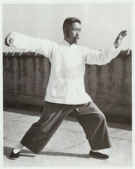 Tai Chi 8 Form Names Yang Style Enter Shaolin Learn Kung Fu Online