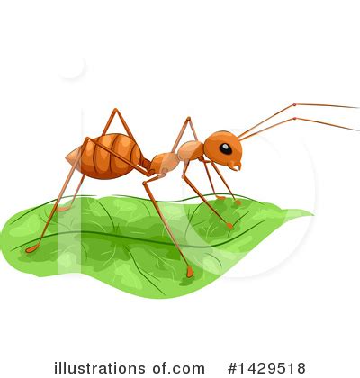 Fire Ant Clipart #65062 - Illustration by Dennis Holmes Designs