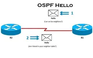 Ospf Part Ospf Neighbor States Ospf Neighbor Forming Process