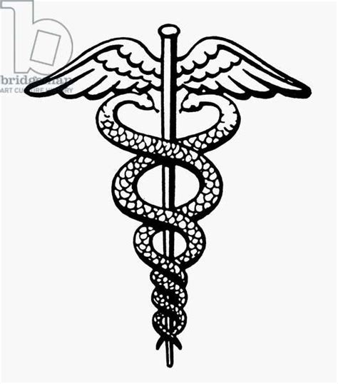 Image Of THE CADUCEUS An Insignia Modeled On Hermes Staff And Used