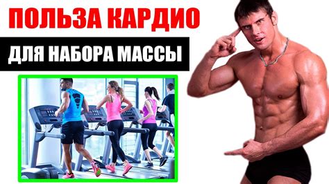 Кардио при Наборе Массы | Почему кардиотренировка помогает набрать ...