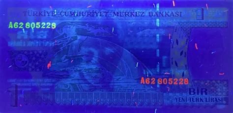 Yeni Turk Lirasi Turkey Banknotedb