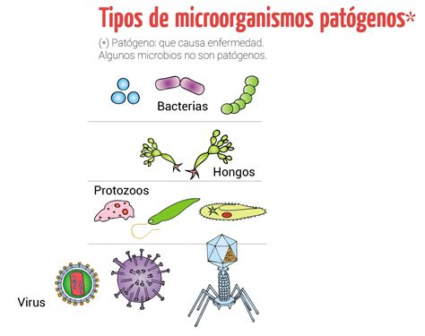 Noxas biológicas Escolar ABC Color