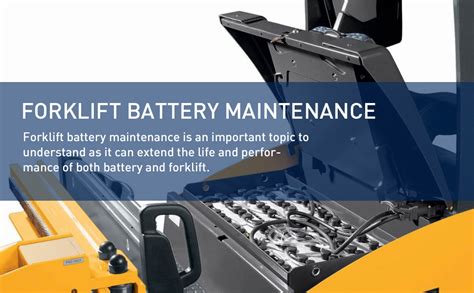 Amazon V Battery Watering System V Forklift Battery Watering