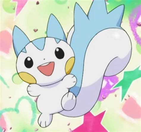 Pachirisu Cute Pokemon Pictures Cute Pokemon Pokemon Drawings