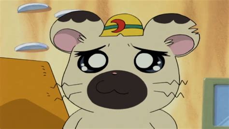 Hamtaro Boss