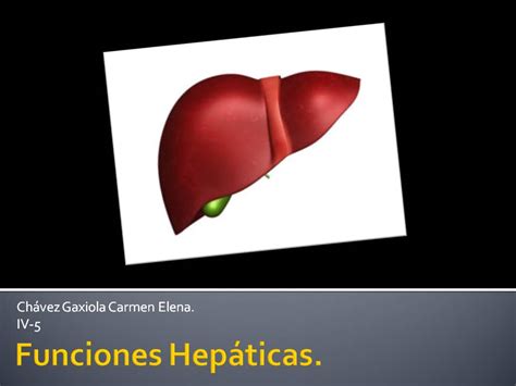 Fisiología con Elena Chávez Funciones Hepáticas