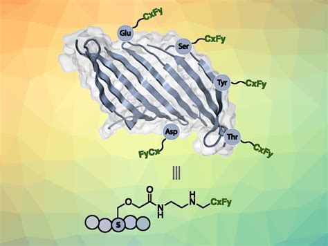 ChemistryViews On Twitter On The Path To Hydrophobic Non Stick Silk