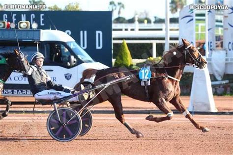 ENLADO Cheval Retrouvez Toutes Les Performances De ENLADO