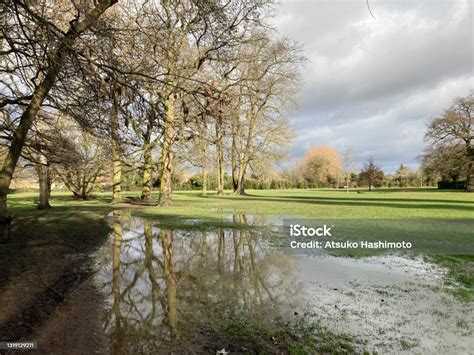 Cherry Hinton Park Cambridge England Uk Stock Photo Download Image