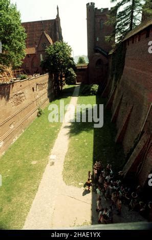 Malbork Zambik Krzyacki W Malborku Trzycz Ciowa Twiserdza