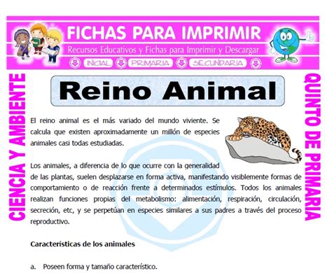 Reino Animal Para Quinto De Primaria Fichas Para Imprimir