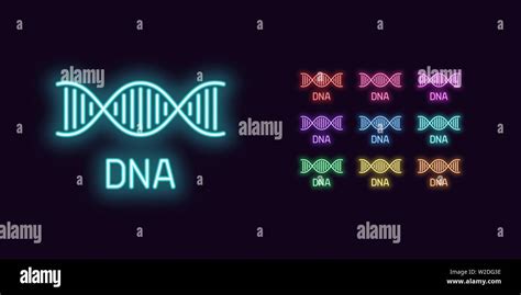 Neon Dna Icon Structure Set Of Glowing Dna Helix In Neon Style With