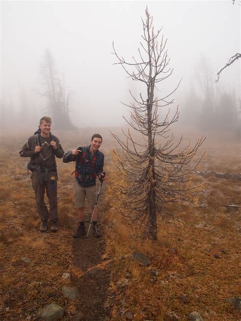 Mt Frosty Hike The Golden Carpets Varsity Outdoor Club