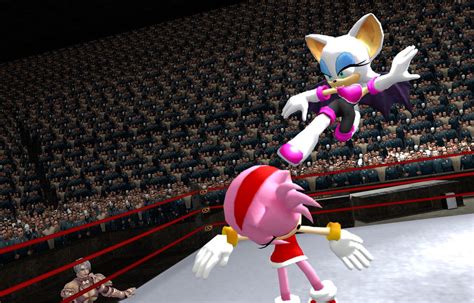 Rouge vs. Amy gift by MasterSaruwatari on DeviantArt