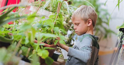 Students Prep Plant Sale For New Swings