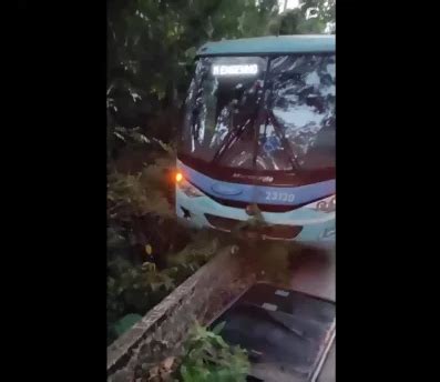 Ônibus quase despenca em ribanceira na Estrada Real MG 129 Estradas