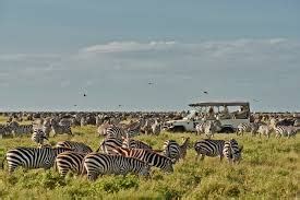 Northern Circuit Tanzania National Parks Kilimanjaro Airport Transfer