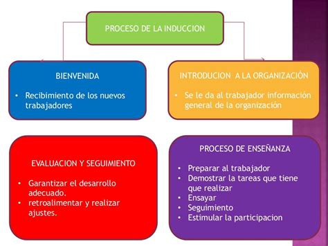 Proceso De Induccion