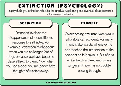 15 Extinction Examples (Psychology) (2025)