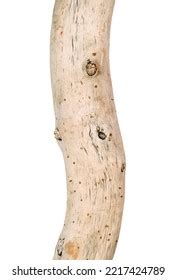 Artistic Driftwood Dry Naked Barkless Tree Stock Photo 2217424789