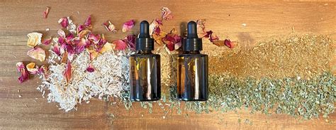 elemental botanicals skin hair care elemental planet
