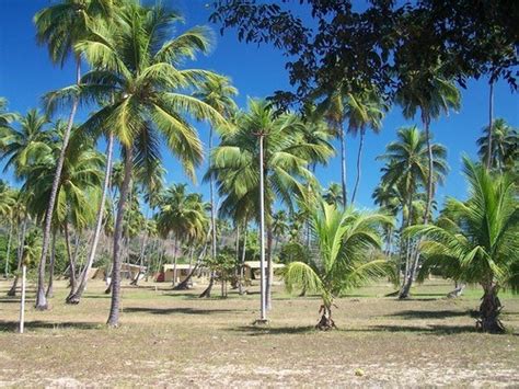 Balneario Tres Hermanos Descubra Puerto Rico