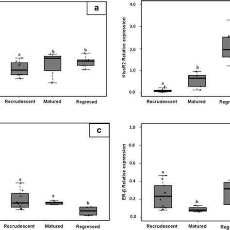 Mrna Expression Levels In Different Sexual Phases Of Sexual Cycle A Download Scientific