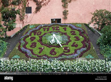 City Town Plant Flower Flowers Clock Sightseeing Saxony Time Blumenuhr