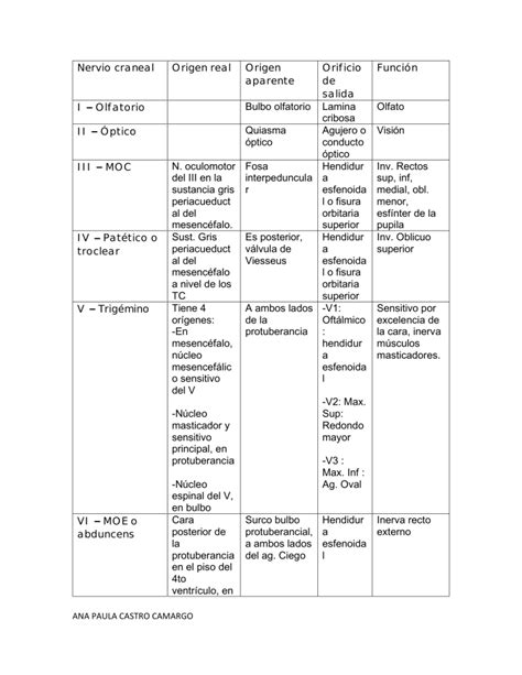 Tabla Nervios Craneales Revisada Nervios Craneales Y Sus Funciones