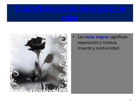 El Significado De Las Rosas Seg N Su Color Ppt