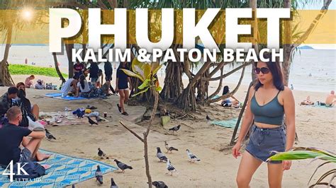 【4k🇹🇭】 Phuket 2023 From Kalim Beach To Patong Beach Walking Tour Youtube