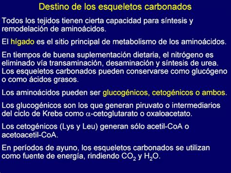 Nutricion Ix Digestion Y Metabolismo De Proteinas Y Aminoacidos PPT