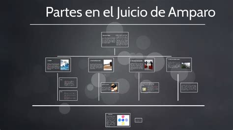 Partes En El Juicio De Amparo By Lorena Salazar On Prezi