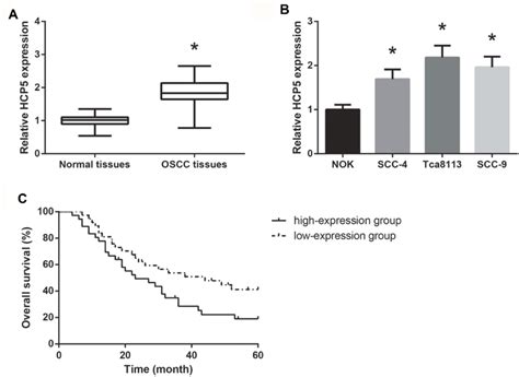 Hcp5 Is Overexpressed In Oscc A Rt Qpcr Analysis Of Hcp5 Expression