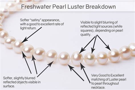 Freshwater Pearls Autrenet Fr